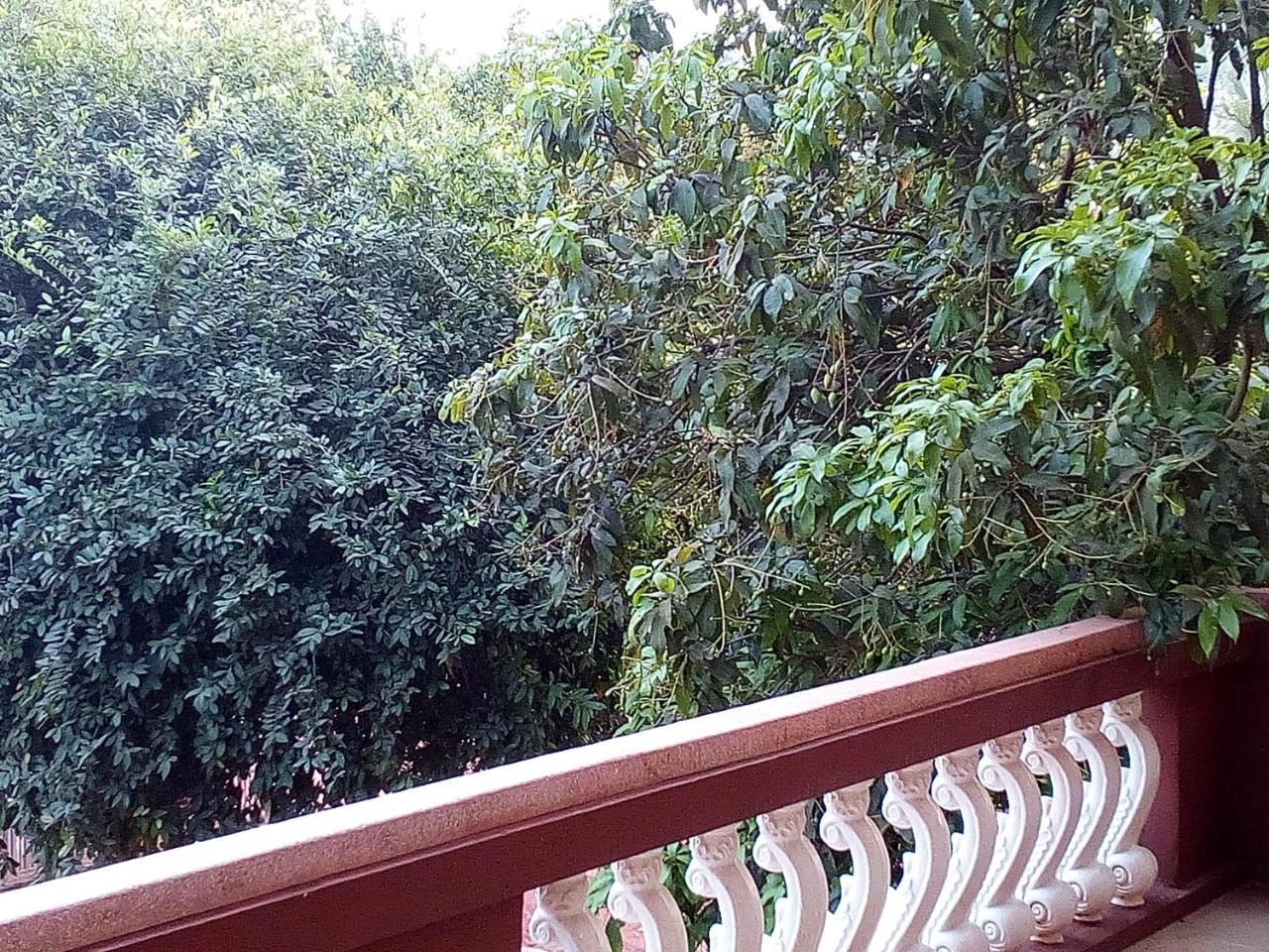 Mango Villa Σιέμ Ρέαπ Εξωτερικό φωτογραφία