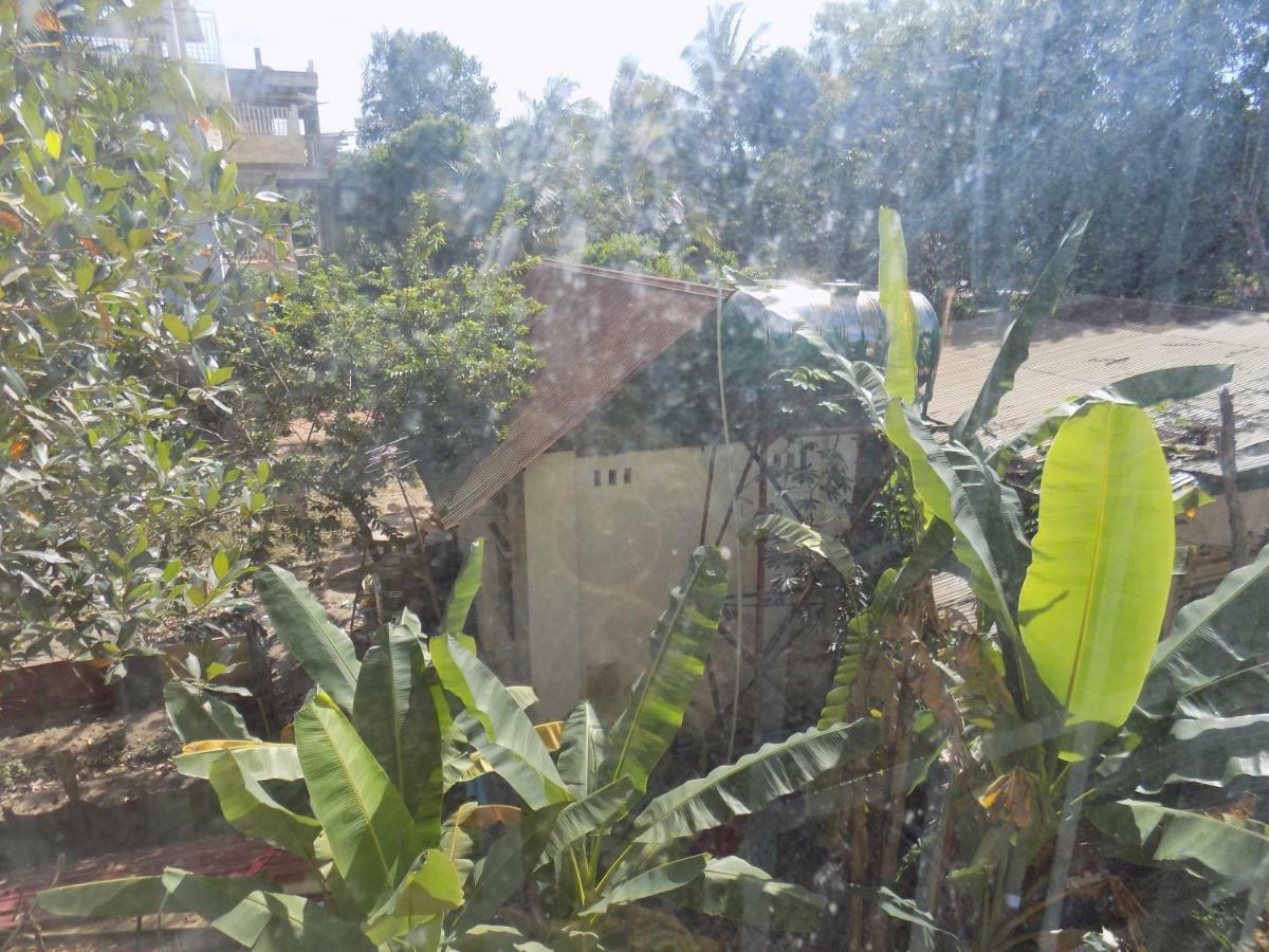 Mango Villa Σιέμ Ρέαπ Εξωτερικό φωτογραφία